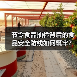 节令食品抽检背后的食品安全防线如何筑牢?(图1) 节令食品抽检背后的食品安全防线如何筑牢?(图1)