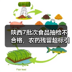 陕西7批次食品抽检不合格,农药残留超标引担忧(图1) 陕西7批次食品抽检不合格,农药残留超标引担忧(图1)