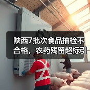 陕西7批次食品抽检不合格,农药残留超标引担忧(图2) 陕西7批次食品抽检不合格,农药残留超标引担忧(图2)