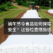 端午节令食品如何保障安全?这些检查措施值得了解(图1) 端午节令食品如何保障安全?这些检查措施值得了解(图1)