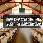 端午节令食品如何保障安全?这些检查措施值得了解(图3) 端午节令食品如何保障安全?这些检查措施值得了解(图3)