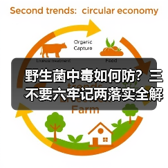 野生菌中毒如何防?三不要六牢记两落实全解析(图4) 野生菌中毒如何防?三不要六牢记两落实全解析(图4)