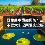 野生菌中毒如何防?三不要六牢记两落实全解析(图3) 野生菌中毒如何防?三不要六牢记两落实全解析(图3)