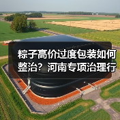 粽子高价过度包装如何整治?河南专项治理行动曝光(图2) 粽子高价过度包装如何整治?河南专项治理行动曝光(图2)