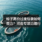 粽子高价过度包装如何整治?河南专项治理行动曝光(图1) 粽子高价过度包装如何整治?河南专项治理行动曝光(图1)