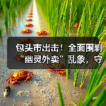 包头市出击!全面围剿“幽灵外卖”乱象,守护餐桌安全(图4) 包头市出击!全面围剿“幽灵外卖”乱象,守护餐桌安全(图4)
