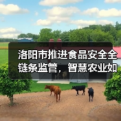 洛阳市推进食品安全全链条监管,智慧农业如何助力筑牢防线(图3) 洛阳市推进食品安全全链条监管,智慧农业如何助力筑牢防线(图3)