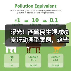 曝光!西藏民生领域铁拳行动典型案例,这些违法行为遭严惩(图4) 曝光!西藏民生领域铁拳行动典型案例,这些违法行为遭严惩(图4)
