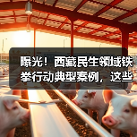 曝光!西藏民生领域铁拳行动典型案例,这些违法行为遭严惩(图1) 曝光!西藏民生领域铁拳行动典型案例,这些违法行为遭严惩(图1)