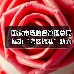 国家市场监督管理总局推动“湾区标准”助力粤港澳大湾区“软联通”新闻发布会实录(图1) 国家市场监督管理总局推动“湾区标准”助力粤港澳大湾区“软联通”新闻发布会实录(图1)