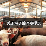 关于粽子的消费提示(图1) 关于粽子的消费提示(图1)