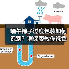 端午粽子过度包装如何识别?消保委教你绿色消费(图4) 端午粽子过度包装如何识别?消保委教你绿色消费(图4)
