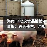海南12批次食品抽检不合格:兽药残留、添加剂乱象曝光(图4) 海南12批次食品抽检不合格:兽药残留、添加剂乱象曝光(图4)