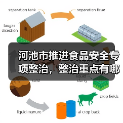 河池市推进食品安全专项整治,整治重点有哪些?(图3) 河池市推进食品安全专项整治,整治重点有哪些?(图3)