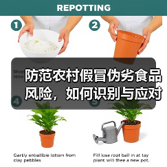 防范农村假冒伪劣食品风险,如何识别与应对?(图2) 防范农村假冒伪劣食品风险,如何识别与应对?(图2)