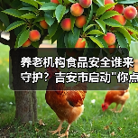 养老机构食品安全谁来守护?吉安市启动 养老机构食品安全谁来守护?吉安市启动