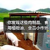你发现这些肉制品、食用植物油、食品小作坊违法线索了吗?快来举报!(图1) 你发现这些肉制品、食用植物油、食品小作坊违法线索了吗?快来举报!(图1)