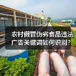 农村假冒伪劣食品违法广告关键词如何识别?(图4) 农村假冒伪劣食品违法广告关键词如何识别?(图4)