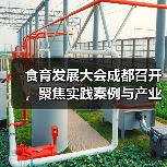 食育发展大会成都召开,聚焦实践案例与产业融合(图2) 食育发展大会成都召开,聚焦实践案例与产业融合(图2)