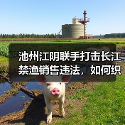 池州江阴联手打击长江禁渔销售违法,如何织密防护网?(图1) 池州江阴联手打击长江禁渔销售违法,如何织密防护网?(图1)