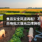 食品安全风波再起!不合格批次曝光品牌异物事件引热议(图3) 食品安全风波再起!不合格批次曝光品牌异物事件引热议(图3)
