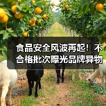 食品安全风波再起!不合格批次曝光品牌异物事件引热议(图2) 食品安全风波再起!不合格批次曝光品牌异物事件引热议(图2)