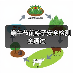 端午节前粽子安全检测全通过（图4）
