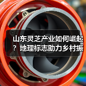 山东灵芝产业如何崛起？地理标志助力乡村振兴政策全解析（图4）
