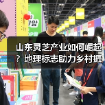 山东灵芝产业如何崛起？地理标志助力乡村振兴政策全解析（图3）