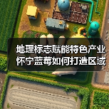 地理标志赋能特色产业 怀宁蓝莓如何打造区域品牌?(图4) 地理标志赋能特色产业 怀宁蓝莓如何打造区域品牌?(图4)