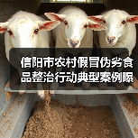 信阳市农村假冒伪劣食品整治行动典型案例曝光(图4) 信阳市农村假冒伪劣食品整治行动典型案例曝光(图4)