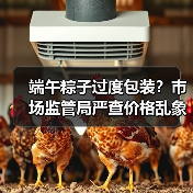 端午粽子过度包装?市场监管局严查价格乱象(图1) 端午粽子过度包装?市场监管局严查价格乱象(图1)