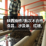 陕西抽检7批次不合格食品，涉及茶、红糖、瓜子等，问题有哪些？（图2）
