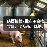陕西抽检7批次不合格食品，涉及茶、红糖、瓜子等，问题有哪些？（图3）