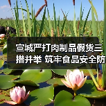 宣城严打肉制品假货三措并举 筑牢食品安全防线(图3) 宣城严打肉制品假货三措并举 筑牢食品安全防线(图3)