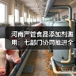 河南严管食品添加剂滥用:七部门协同推进全链条治理(图4) 河南严管食品添加剂滥用:七部门协同推进全链条治理(图4)