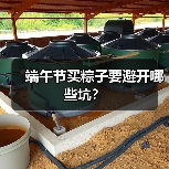 端午节买粽子要避开哪些坑?(图3) 端午节买粽子要避开哪些坑?(图3)