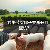 端午节买粽子要避开哪些坑?(图4) 端午节买粽子要避开哪些坑?(图4)