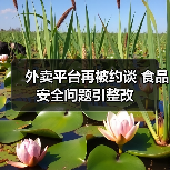 外卖平台再被约谈 食品安全问题引整改(图3) 外卖平台再被约谈 食品安全问题引整改(图3)
