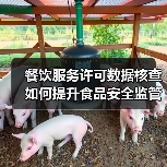 餐饮服务许可数据核查如何提升食品安全监管效能？（图1）