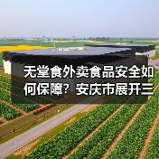 无堂食外卖食品安全如何保障？安庆市展开三方同查行动（图3）