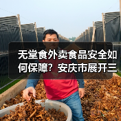 无堂食外卖食品安全如何保障？安庆市展开三方同查行动（图2）