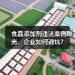 食品添加剂违法案例曝光，企业如何避坑？（图2）