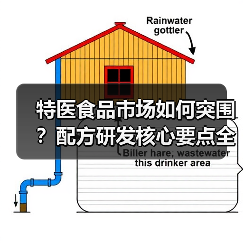特医食品市场如何突围？配方研发核心要点全解析（图2）