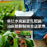 鱼缸水竟藏霍乱弧菌？油麻地新鲜粮食店紧急封闭（图3）