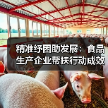 精准纾困助发展：食品生产企业帮扶行动成效显著（图4）