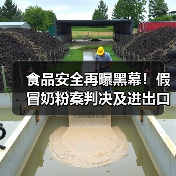 食品安全再曝黑幕！假冒奶粉案判决及进出口限制引关注（图4）