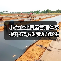 小微企业质量管理体系提升行动如何助力野生菌行业高质量发展(图2) 小微企业质量管理体系提升行动如何助力野生菌行业高质量发展(图2)