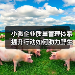 小微企业质量管理体系提升行动如何助力野生菌行业高质量发展(图3) 小微企业质量管理体系提升行动如何助力野生菌行业高质量发展(图3)