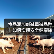 食品添加剂减量减品种！如何实现安全健康转型？（图1）